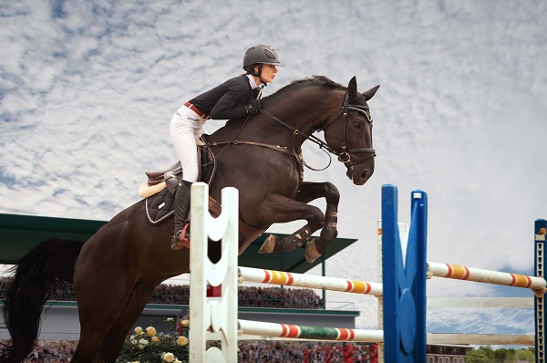 How to Build Confidence in Your Horse for Jumping